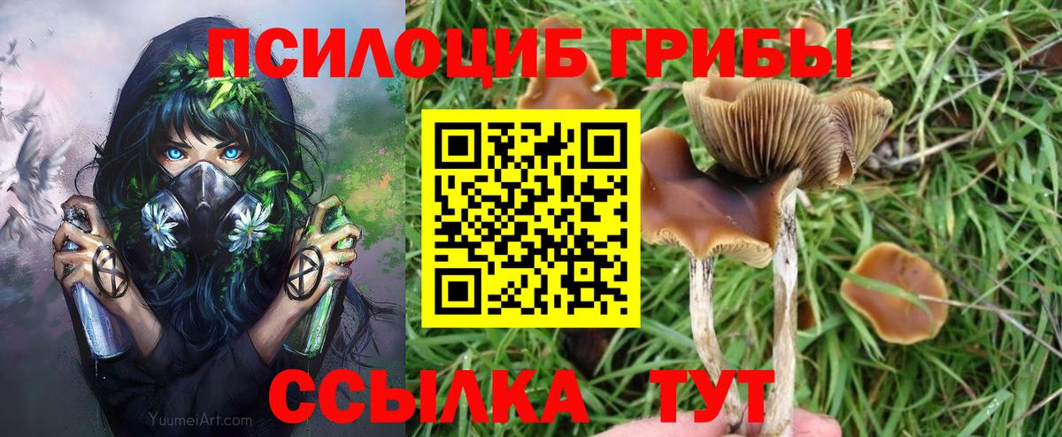 Галлюциногенные грибы ЛСД  Вход с VPN  Алапаевск  Галлюциногенные грибы прущие грибы 