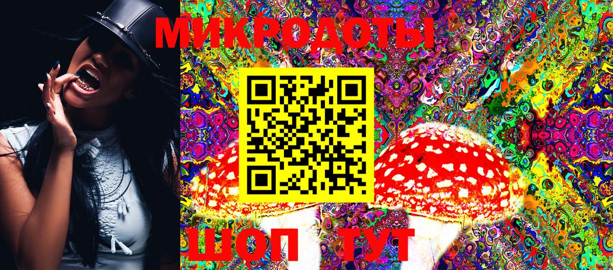 Галлюциногенные грибы Psilocybine cubensis Алапаевск